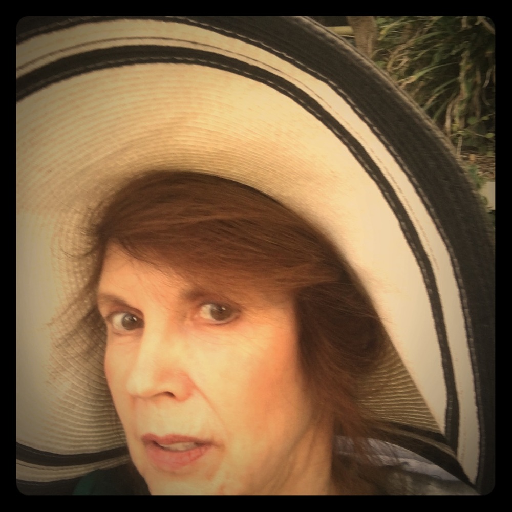 Meet your Posher, Nancy